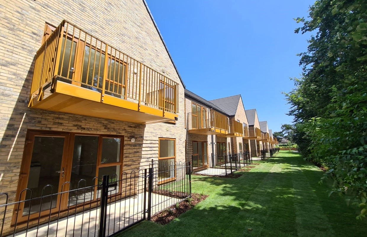 Beech Walk 1