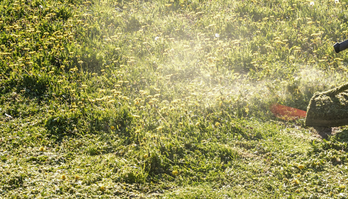 Latest update on your grass cutting service, 23 July