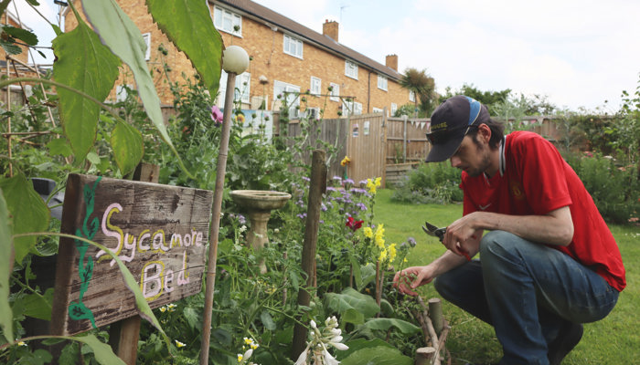 Gardening with Luke