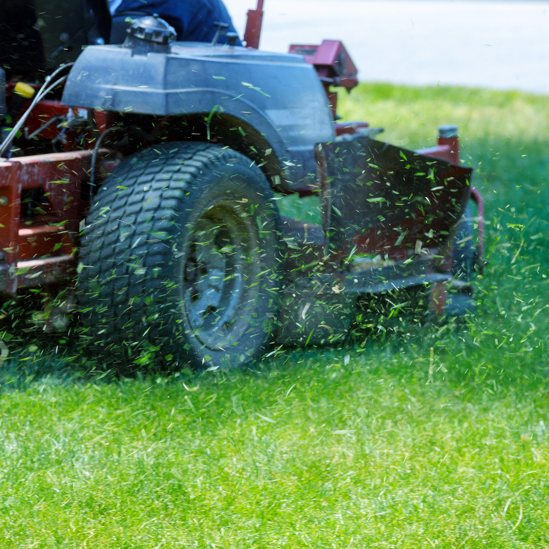 lawn mower in action