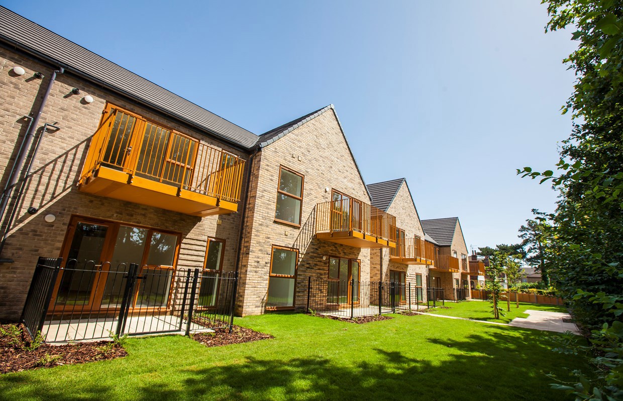 Beech Walk 4