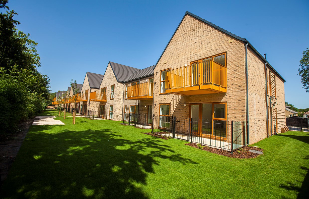 Beech Walk 3