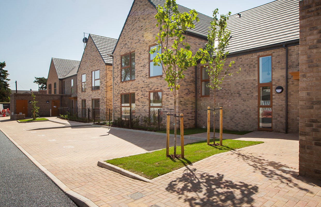 Beech Walk 9