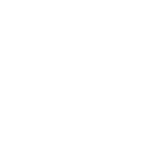 Team 01