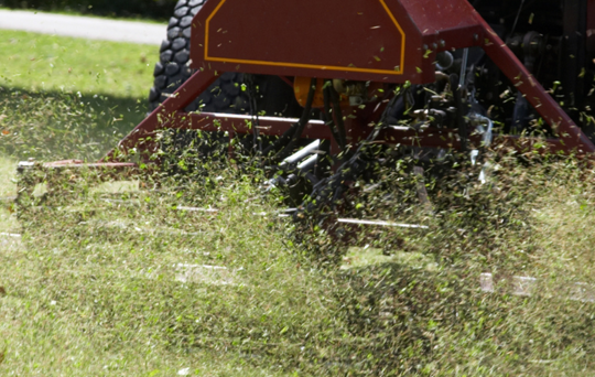 Grass cutting FAQs 2025