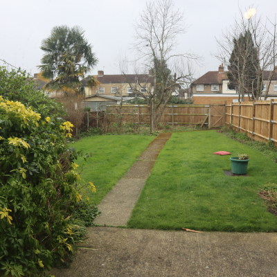 A tidy back garden. On the left, there is a bush with yellow flowers. In the middle, there is a path that leads to the back of the garden which is fenced. In the back, there are three trees, two without any leaves and a few houses. The sky is grey.