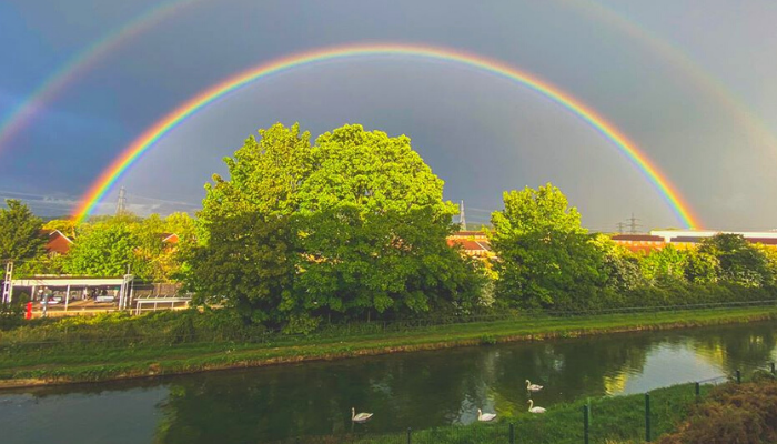 Rainbow over trees and water