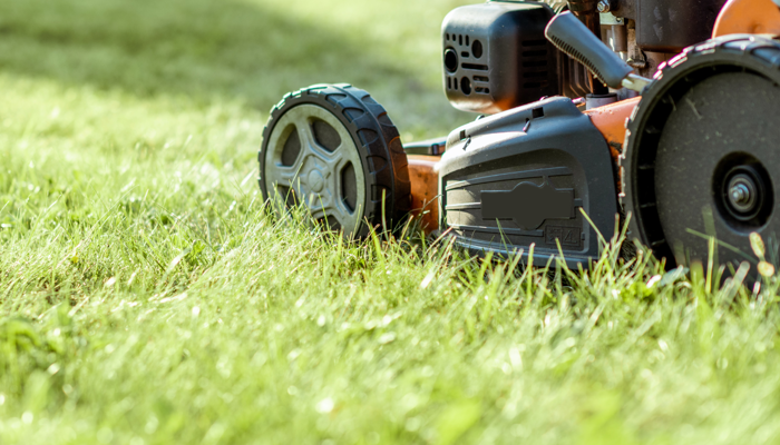 Latest update on your grass cutting service, 28 August