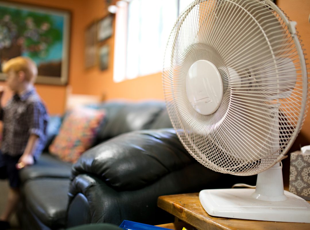 Electric fan in lounge