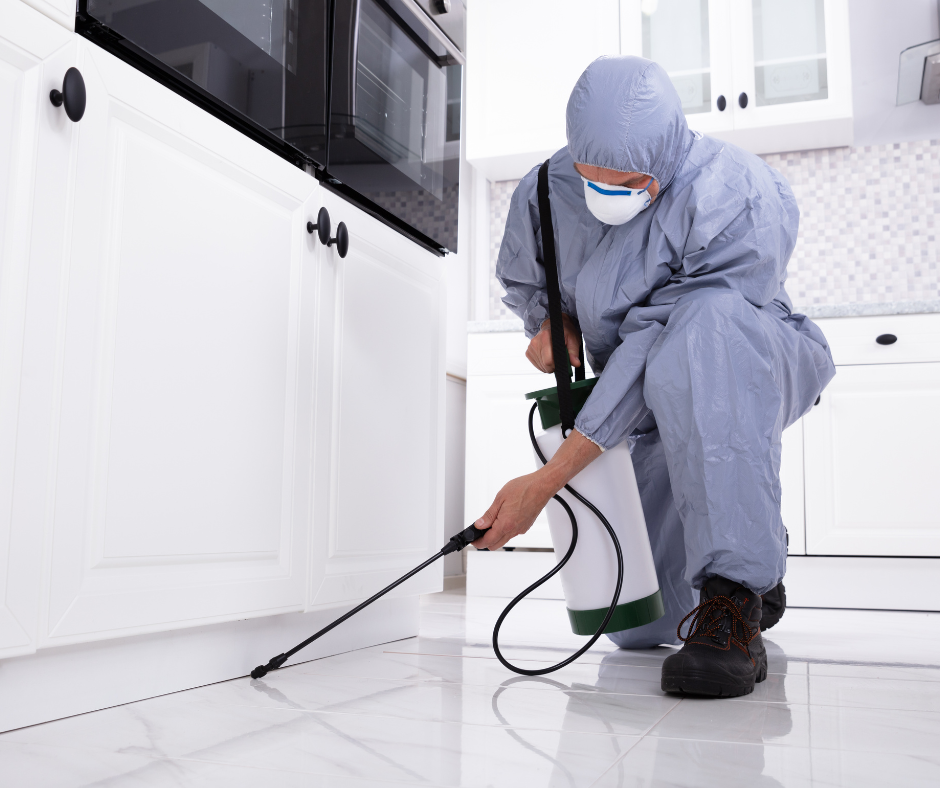 A person using pest control equipment in a kitchen